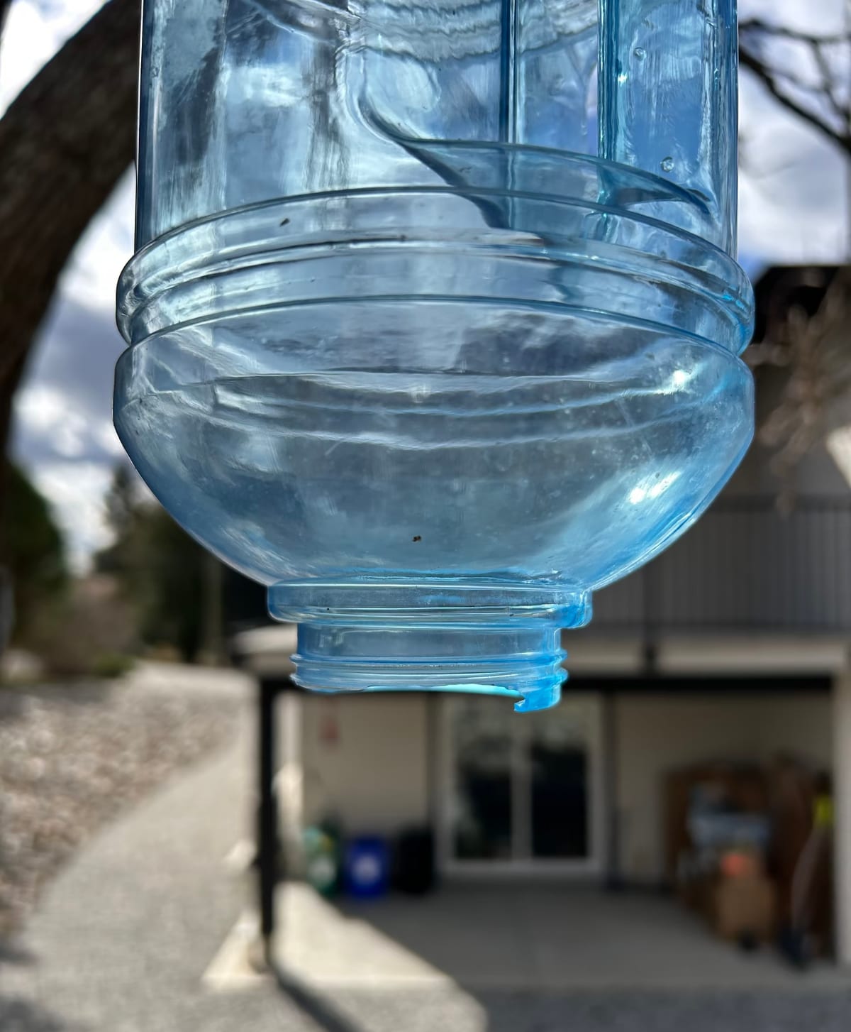 A large plastic water jug cut open and hung upside down as a homemade bird waterer, with a shallow dish beneath the opening