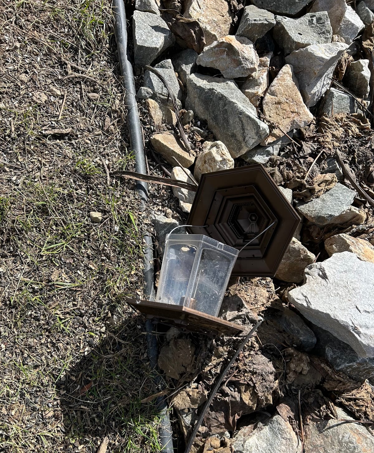 A lantern-style bird feeder taken apart, the clear seed chamber separated from its roof and base, resting on gravel