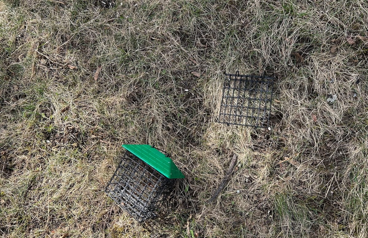 Two suet cages lying on the grass after being removed from the feeding station