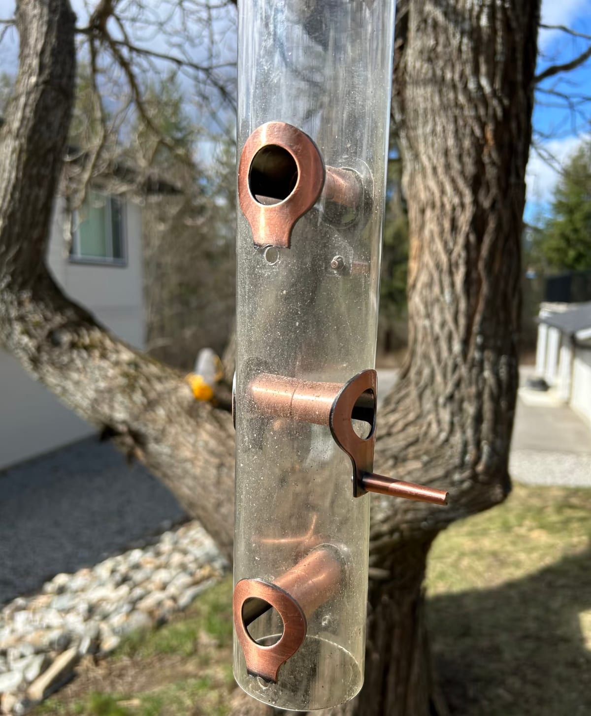Close-up of the copper-colored feeding ports on a clear tube feeder, showing grime around the openings and inside the tube