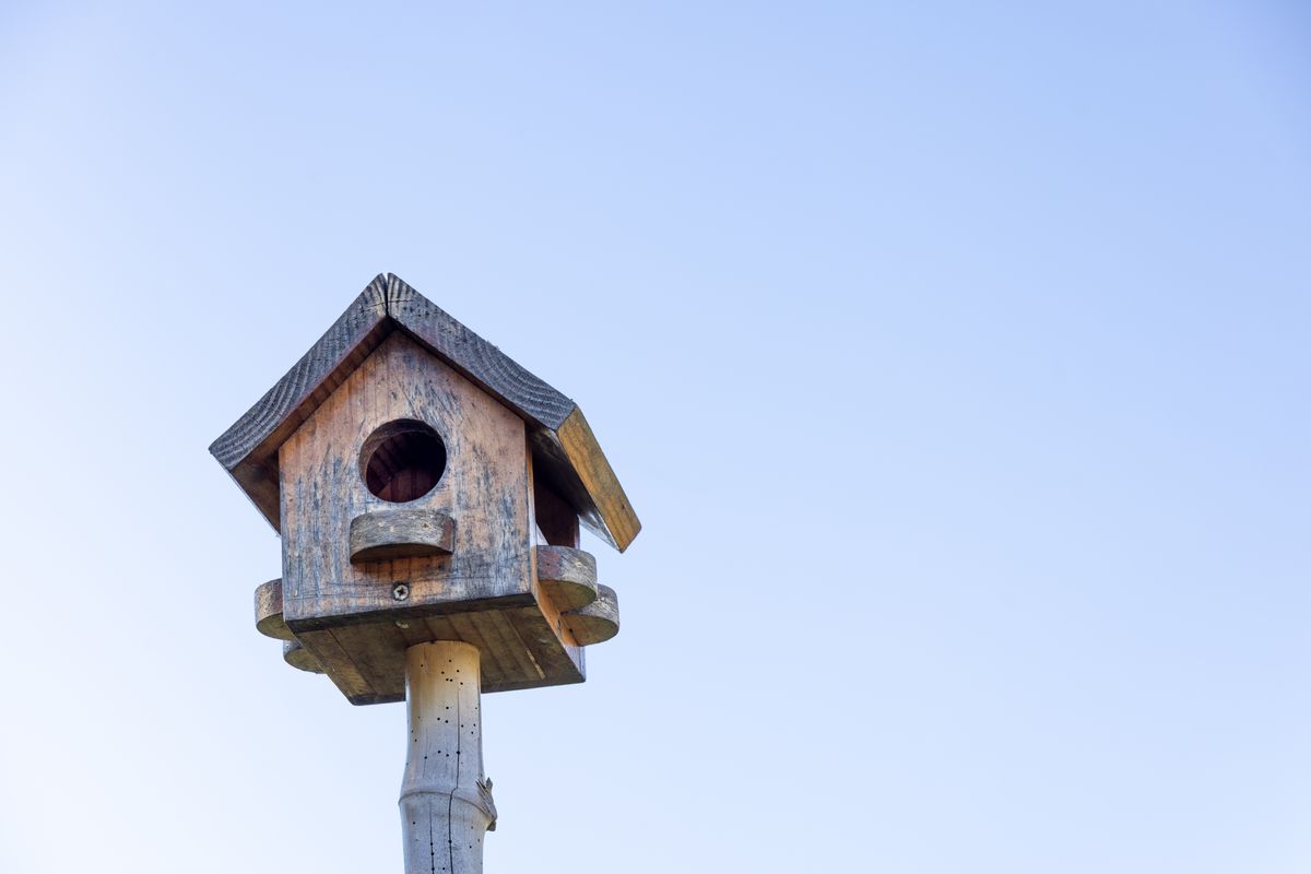 A weathered wooden nest box mounted on top of a wooden pole against a clear blue sky